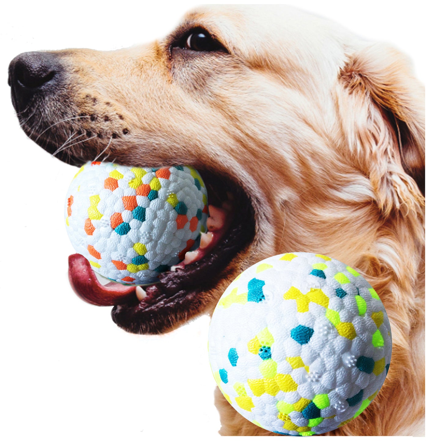 Interactive Dog Molar Ball Training Toy