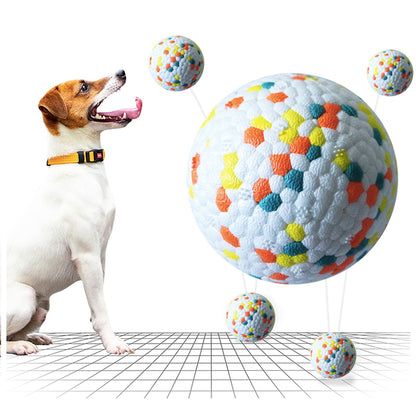 Interactive Dog Molar Ball Training Toy