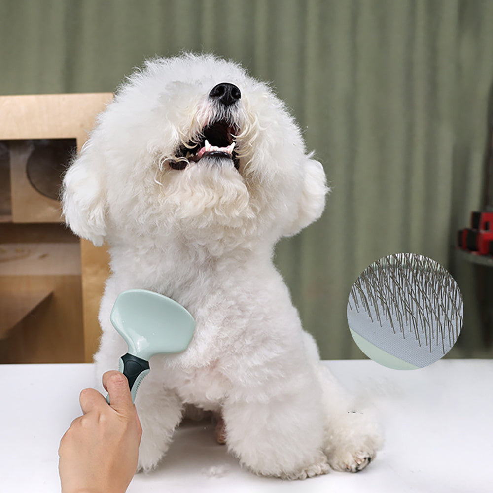 Professional Dog Grooming Kit - My Pets R Us